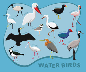 Cute Bird Water Set Cartoon Vector