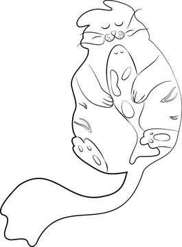A sleeping cat holds a fish in its paws. black lines vector illustration.