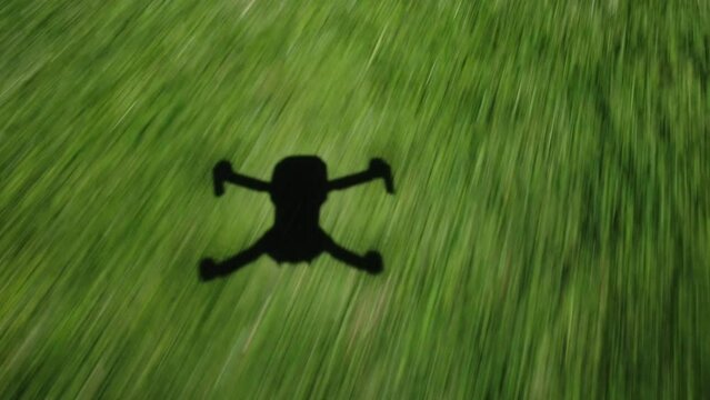 Shadow silhouette of drone flying above grass field into treeline