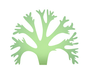 Obraz premium Cetraria green Icelandic moss icon for logo or icon
