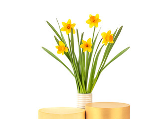 Two cylinder podiums and bouquet of daffodils flowers in a ceramic vase on a white background isolated, front view. Empty showcase for product presentation, pedestal for cosmetic product.