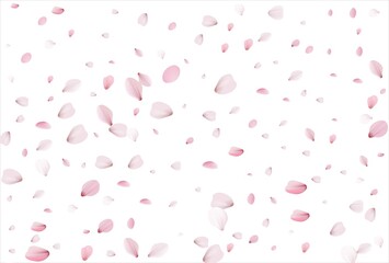 Sakura petals background. Cherry petals