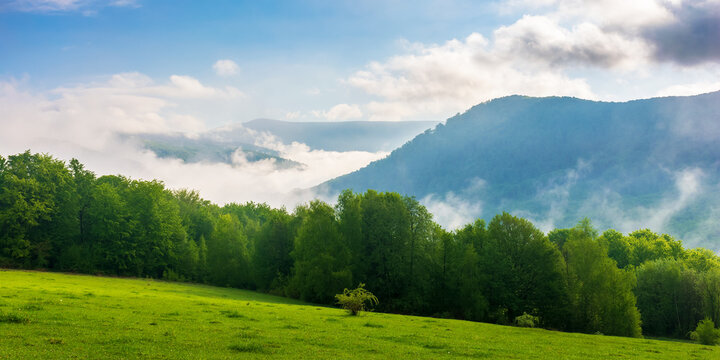 green and blue landscape in mountains. grassy meadow and forest on the hill. fog in the valley and clouds on the sky. peaceful sunny morning in transcarpathia