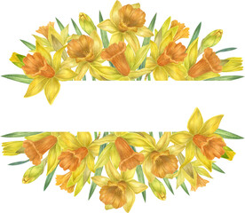 Watercolor daffodil frame.  Spring yellow flowers. Perfect for wedding invitation, greeting cards