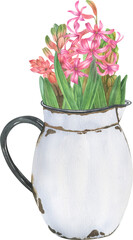 Watercolor hyacinth flowers in vintage vases. Spring flower bouquets isolated on white background.