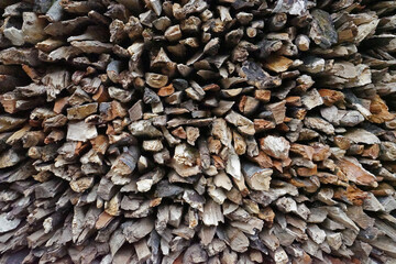 Cut down tree trunk on mossy ground