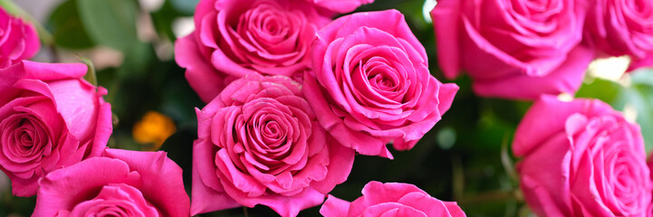 Bouquet of beautiful blossoming pink roses closeup