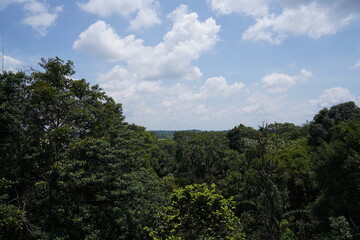 view from the top of the hill