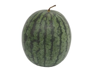 Watermelon on white background.  closeup photo, blurred.