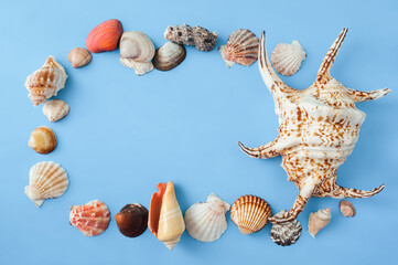 Frame with seashells on a blue background