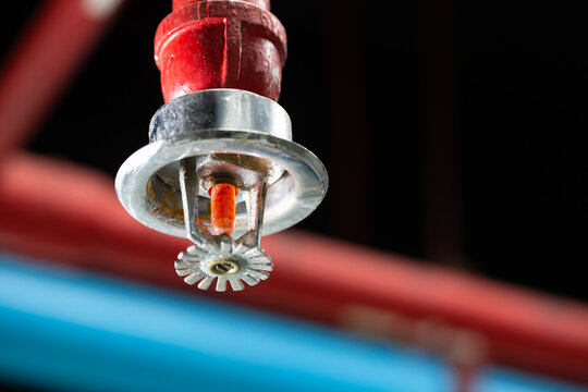 Fire sprinkler and red pipe.