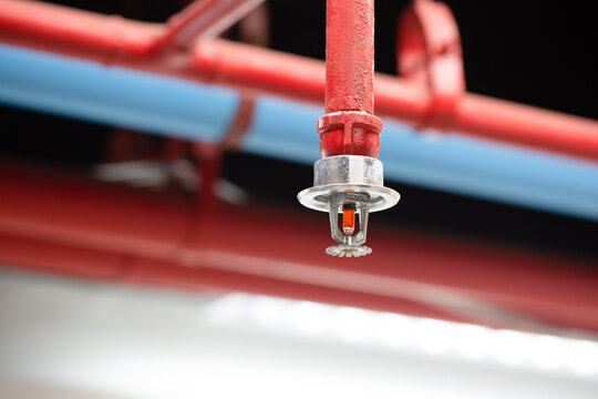 Fire sprinkler and red pipe.