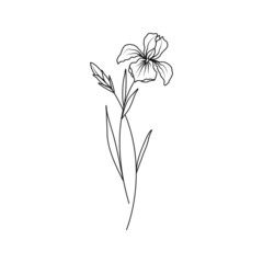Iris February Birth Month Flower Illustration - 499755966