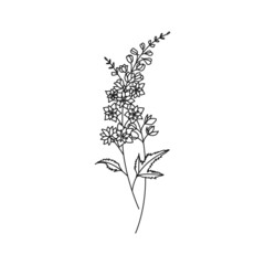 Larkspur July Birth Month Flower Illustration - 499756106