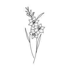 Gladiolus August Birth Month Flower Illustration - obrazy, fototapety, plakaty