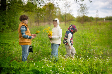 Cute children look at plants in a meadow in the forest, botanical excursion and young researchers, children's walks and curiosity, interest in nature - obrazy, fototapety, plakaty
