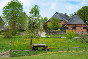 Thatched roof farmhouses in the foreground a meadow