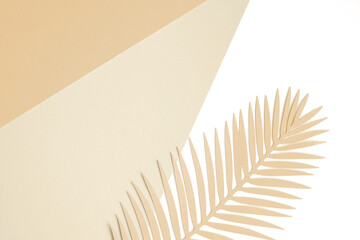Tropical Leaf on a White, Beige and Gold Background. Simple Modern Composition with Paper Cut Palm Tree Leaf on a Geometric Backdrop ideal for Banner, Card, Greetings. Top-Down View. No text.