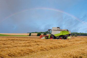 Wheat harvesting in the summer season by a modern combine harvester with a dramatic sky and rainbow...