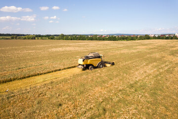 Aerial view of combine harvester harvesting large ripe wheat field. Agriculture from drone view