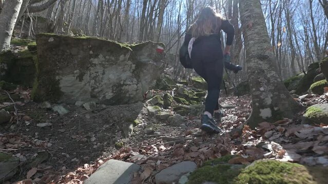 Monte Cusna Reggio Emilia