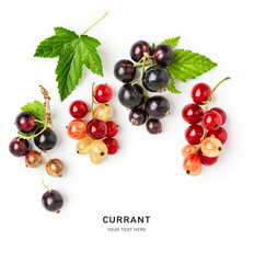 Black and red currant berry with leaves creative layout. © ifiStudio