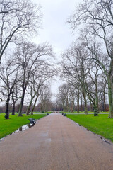 View of the green park on a cloudy winter day.