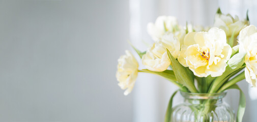 Fototapeta na wymiar Beautiful bouquet of yellow tulips in vase at the home, banner