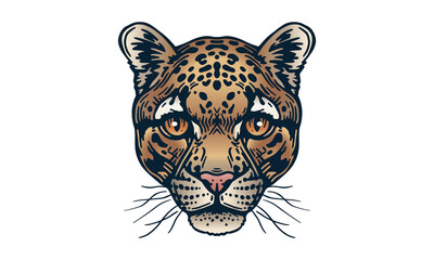 Clouded leopard head illustration, vector, hand drawn, isolated on light background