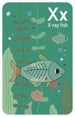 X-ray fish X letter. A-Z Alphabet collection with cute cartoon animals in 2D. X-ray fish swimming under the water. A green transparent fish smiling. Hand-drawn funny simple style.