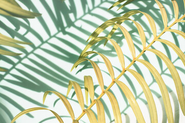 Sunlit tropical plant palm leaves yellow shadows on blue wall, summer nature relaxing sunny background, soft pastel tones