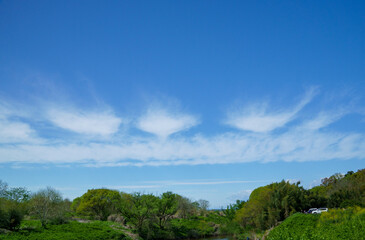 爽やかな青空に浮かぶ白い雲