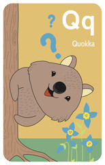 Quokka Q letter. A-Z Alphabet collection with cute cartoon animals in 2D. Quokka peeking out from behind a tree. Quokka looking at camera surprised and full of questions. Hand-drawn funny simple style