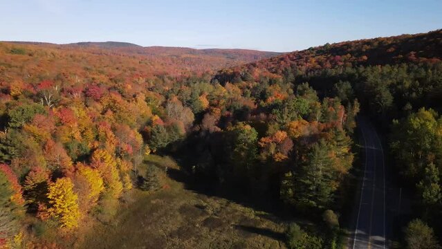Beautiful aerial drone footage of the fall leaves on and around Mount Hor, Mount Pisgah, and Lake Willoughby during peak autumn foliage at Willoughby State forest in Westmore, Vermont. NEK