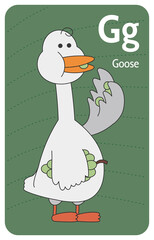Goose G letter. A-Z Alphabet collection with cute cartoon animals in 2D. Goose standing and eating grapes. Grey goose with full cheeks looking aside. Hand-drawn funny simple style.