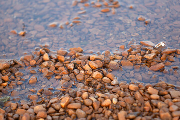Rocks and pebbles by the water
