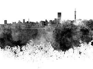 Obraz premium Johannesburg skyline in black watercolor on white background