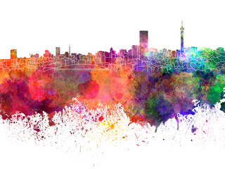 Johannesburg skyline in watercolor on white background