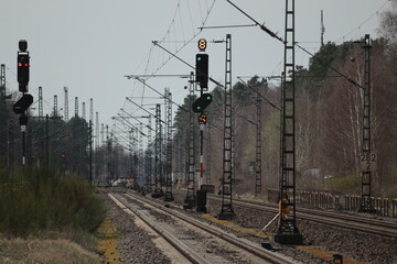 railroad tracks and road signs among the woods