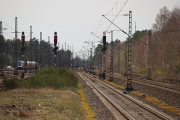 rail track with trains between the woods