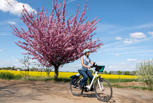 Frau mit Elektro Fahrrad fährt im Frühling vor blühendem Kirschbaum und Rapsfeld, im Sonnenschein vor blauem Himmel.