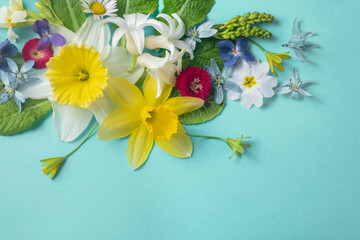 Corner floral flat lay on blue background. Composition of yellow daffodils, green leaves, red daisies and small white flowers on a blue background. Top view, copy space. 