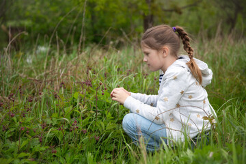 Cute child look at plants in meadow in forest, botanical excursion and young researcher, walks and...