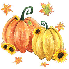 Red and yellow autumn pumpkins watercolor illustration
