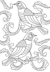 Coloring page of two birds. Line art design