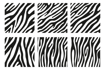 Fototapeta na wymiar Black stripes on the skin of a zebra for decoration graphics