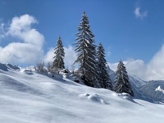 Fototapeta na wymiar A natural fairy tale with an unrealistically beautiful snowy winter landscape of hills and alpine pastures of the Alpstein massif in the Obertoggenburg region - Nesslau, Switzerland (Schweiz)