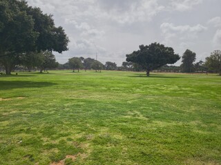 Green Beautiful View in the National Park in Ramat Gan, Israel