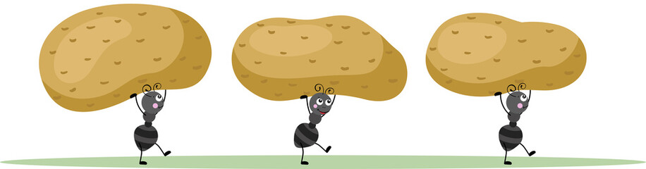 Cute ants carrying a fresh potatoes