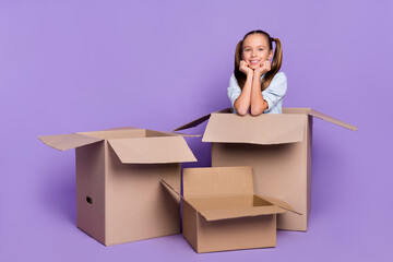 Photo of shiny thoughtful small schoolgirl dressed jeans shirt sitting inside carton box arms cheeks isolated violet color background